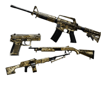 cod bo6 mystic gold camo boost