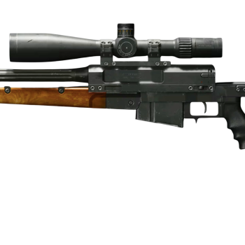 cod black ops 6 sniper rifle leveling