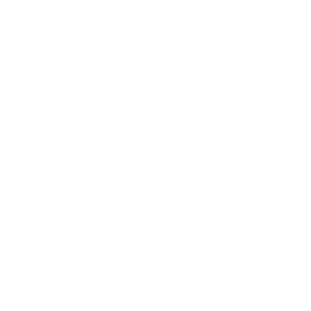 Iron Banner Saladin Ranks boost