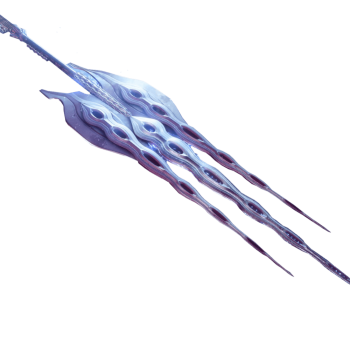 Winterbite exotic unlock boost
